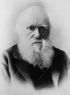 199.- ЛЮДИ - Чарльз Дарвин.