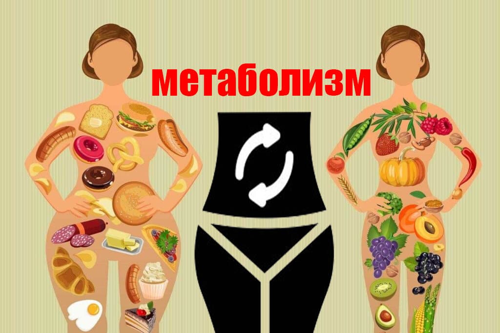 218.- Метаболизм.