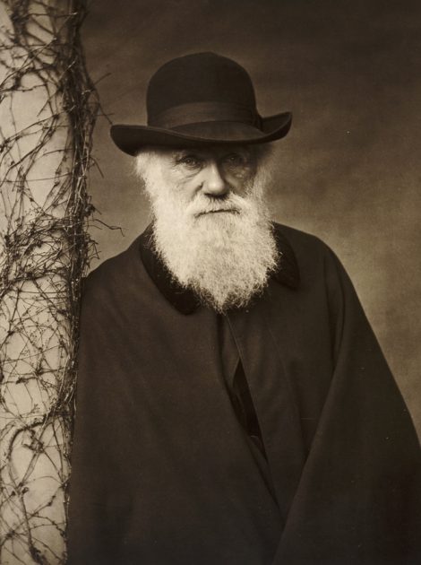 DOWN HOUSE, Downe, Kent. Portrait of Charles Darwin c 1880.